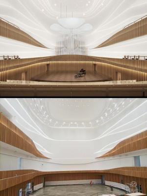 銀川圖書(shū)館（音樂(lè)廳）阻燃木紋膜造型-LX裝飾貼膜